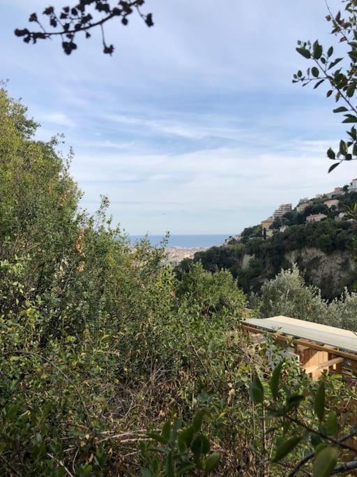 Alpehytte La Vue Nice